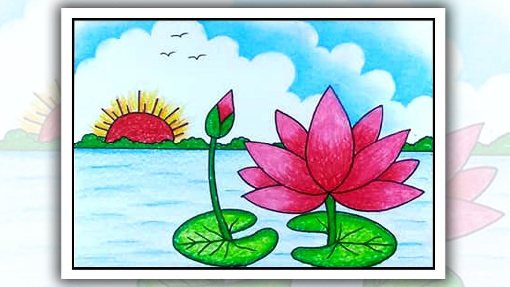 Waterlily scenery