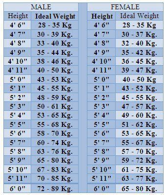 Height And Weight Scale