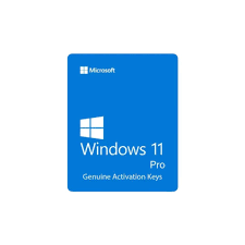 Windows 11 Professional License key